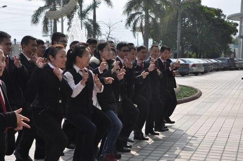 团队花絮,花絮中的温馨与欢笑